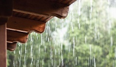 कई बीमारियां लेकर आता है बारिश का मौसम